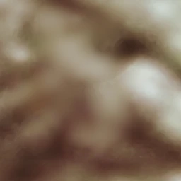 Ember_Vard