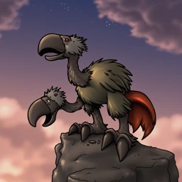 Darbok_00001_