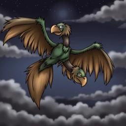 Flying_Darbok_00002_
