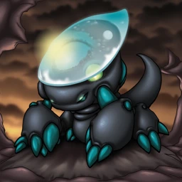 Zungg_CO_00002_