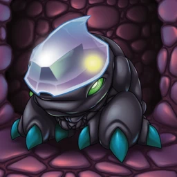 Zungg_CO_00004_