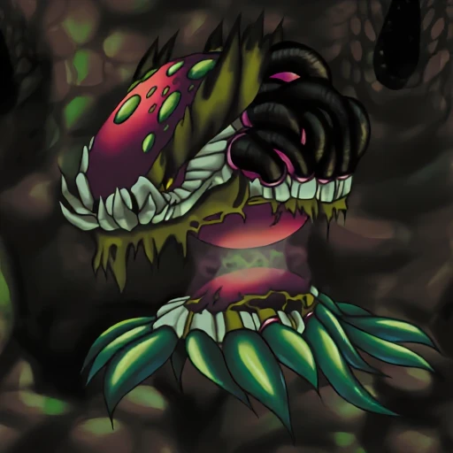 Core Grag