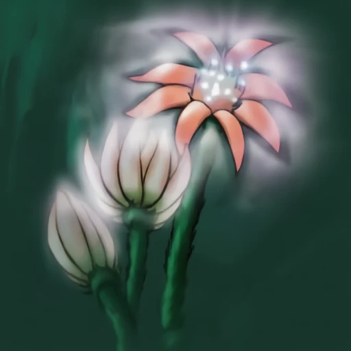 Bloom